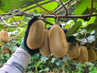 노고단님의 자유주제 · 자유게시판 작성글 사진