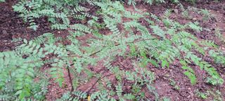 이현주(숲속의농원)님의 O학년 △반 이세요? · 참여글 작성글 사진