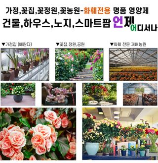 자연치유농법님의 자유주제 · 자유게시판 작성글 사진