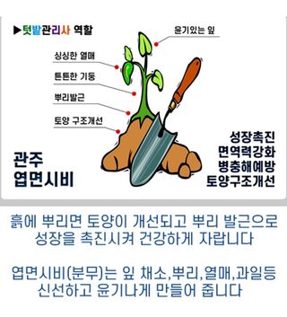 자연치유농법님의 자유주제 · 자유게시판 작성글 사진