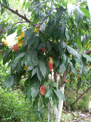 유병백님의 O학년 △반 이세요? · 참여글 작성글 사진