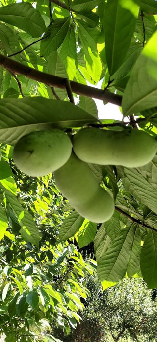 유병백님의 O학년 △반 이세요? · 참여글 작성글 사진