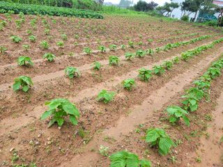 들깨14649님의 O학년 △반 이세요? · 참여글 작성글 사진