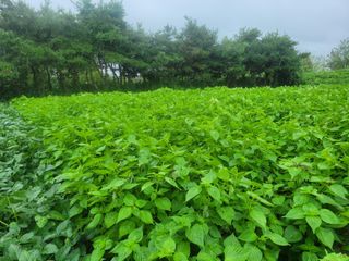 들깨14649님의 O학년 △반 이세요? · 참여글 작성글 사진