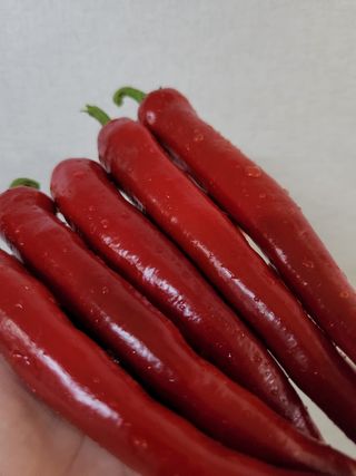 빛나는햇살님의 딸기 · 일상 작성글 사진