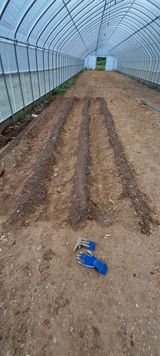 팜모닝 배추·영농일지 게시글 이미지