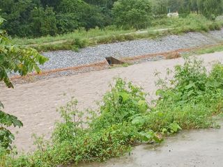 알 수 없음님의 우리동네 · 동네수다 작성글 사진