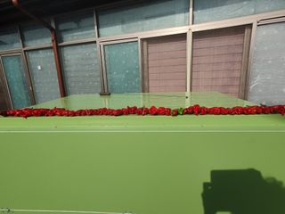 생강콩참깨들깨고추고님의 고추 · 일상 작성글 사진