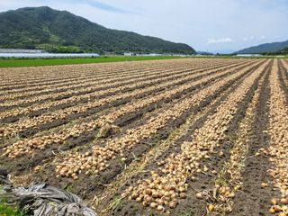 노력한많큼거둘수있다님의 O학년 △반 이세요? · 참여글 작성글 사진