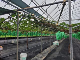 안광식님의 O학년 △반 이세요? · 참여글 작성글 사진