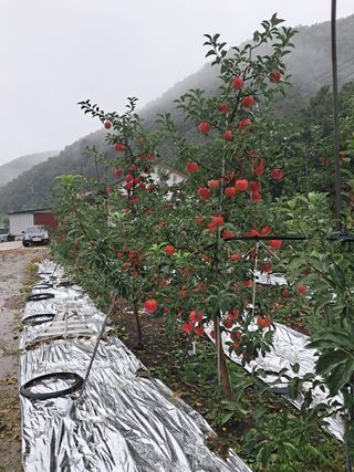 알 수 없음님의 자유주제 · 자유게시판 작성글 사진