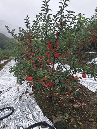 알 수 없음님의 자유주제 · 자유게시판 작성글 사진