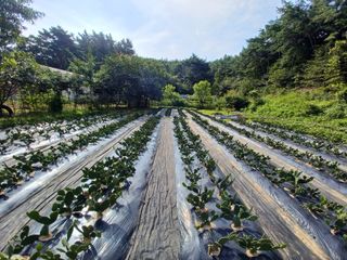 나빌레라님의 O학년 △반 이세요? · 참여글 작성글 사진