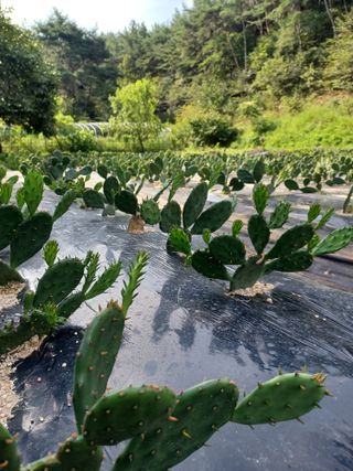 나빌레라님의 O학년 △반 이세요? · 참여글 작성글 사진