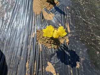 나빌레라님의 O학년 △반 이세요? · 참여글 작성글 사진