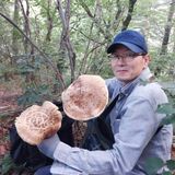 팜모닝 O학년 △반 이세요?·참여글 게시글 이미지