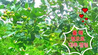 인생은 소풍처럼님의 기타작물 · 자유게시판 작성글 사진