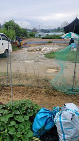 팜모닝 기타작물·영농일지 게시글 이미지