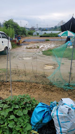 강성태 님의 기타작물 · 영농일지 작성글 사진