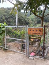 팜모닝 O학년 △반 이세요?·참여글 게시글 이미지