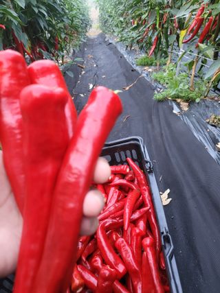 바람소리님의 O학년 △반 이세요? · 참여글 작성글 사진