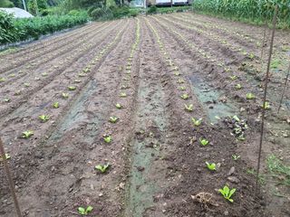 안비님의 자유주제 · 자유게시판 작성글 사진