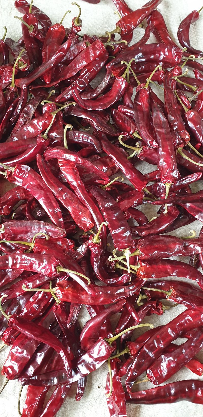 장터 상품 [일반 건고추(순한맛)] 썸네일