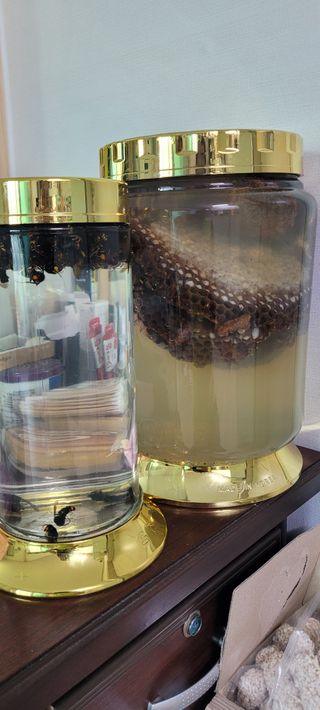 이의도님의 O학년 △반 이세요? · 참여글 작성글 사진