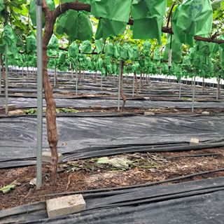 윤세열님의 O학년 △반 이세요? · 참여글 작성글 사진