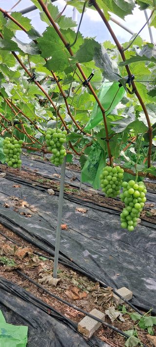 윤세열님의 O학년 △반 이세요? · 참여글 작성글 사진