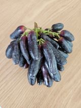 팜모닝 O학년 △반 이세요?·참여글 게시글 이미지