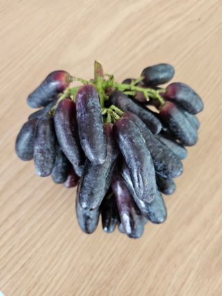 최지훈님의 O학년 △반 이세요? · 참여글 작성글 사진