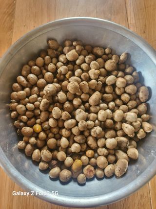 아림농장 대저2동 님의 기타작물 · 자유게시판 작성글 사진