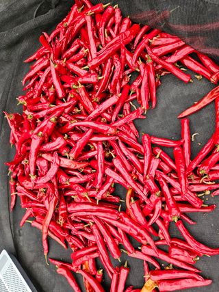 홍&이님의 자유주제 · 자유게시판 작성글 사진