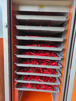 홍&이님의 자유주제 · 자유게시판 작성글 사진