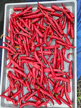 홍&이님의 자유주제 · 자유게시판 작성글 사진