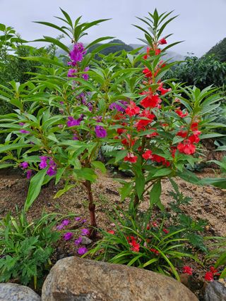 홍&이님의 자유주제 · 자유게시판 작성글 사진