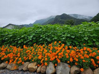 홍&이님의 자유주제 · 자유게시판 작성글 사진