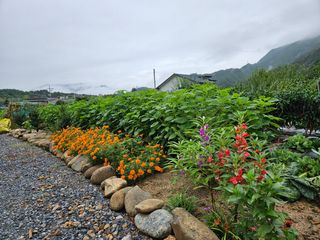 홍&이님의 자유주제 · 자유게시판 작성글 사진