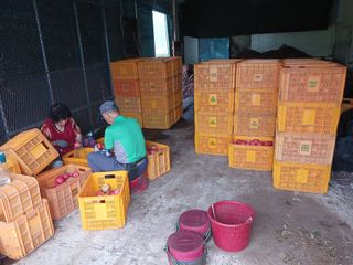 알 수 없음님의 우리동네 · 동네수다 작성글 사진