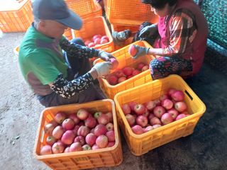알 수 없음님의 우리동네 · 동네수다 작성글 사진