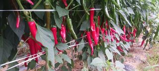 산양 위만(엄문섭)님의 O학년 △반 이세요? · 참여글 작성글 사진