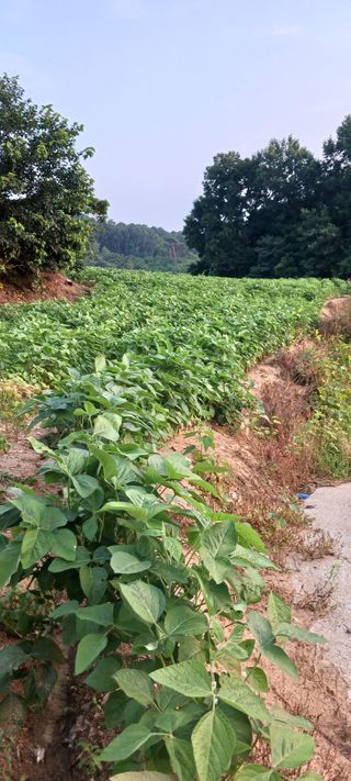 산양 위만(엄문섭)님의 O학년 △반 이세요? · 참여글 작성글 사진