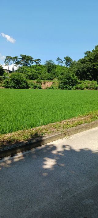 산양 위만(엄문섭)님의 O학년 △반 이세요? · 참여글 작성글 사진