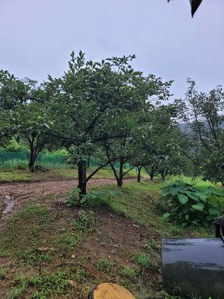 서영진님의 O학년 △반 이세요? · 참여글 작성글 사진