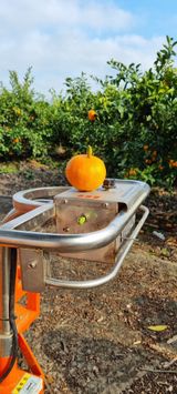 팜모닝 O학년 △반 이세요?·참여글 게시글 이미지