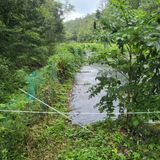 팜모닝 복숭아·자유게시판 게시글 이미지