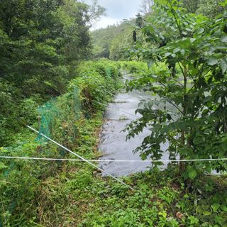 양배추21889님의 복숭아 · 자유게시판 작성글 사진