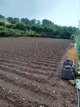 팜모닝 O학년 △반 이세요?·참여글 게시글 이미지