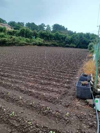 농사꾼님의 O학년 △반 이세요? · 참여글 작성글 사진